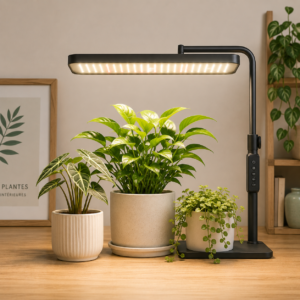 Lumière pour UV pour plantes